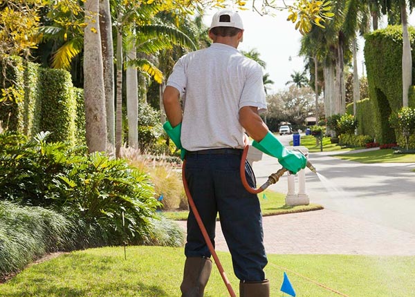 About Woodside DE Pest Control